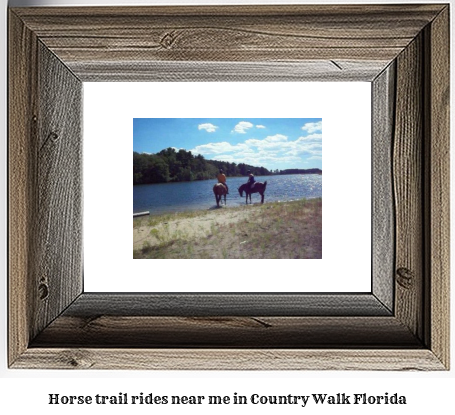 horse trail rides near me in Country Walk, Florida